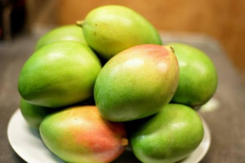 Pexels_Morris Lowery Jr