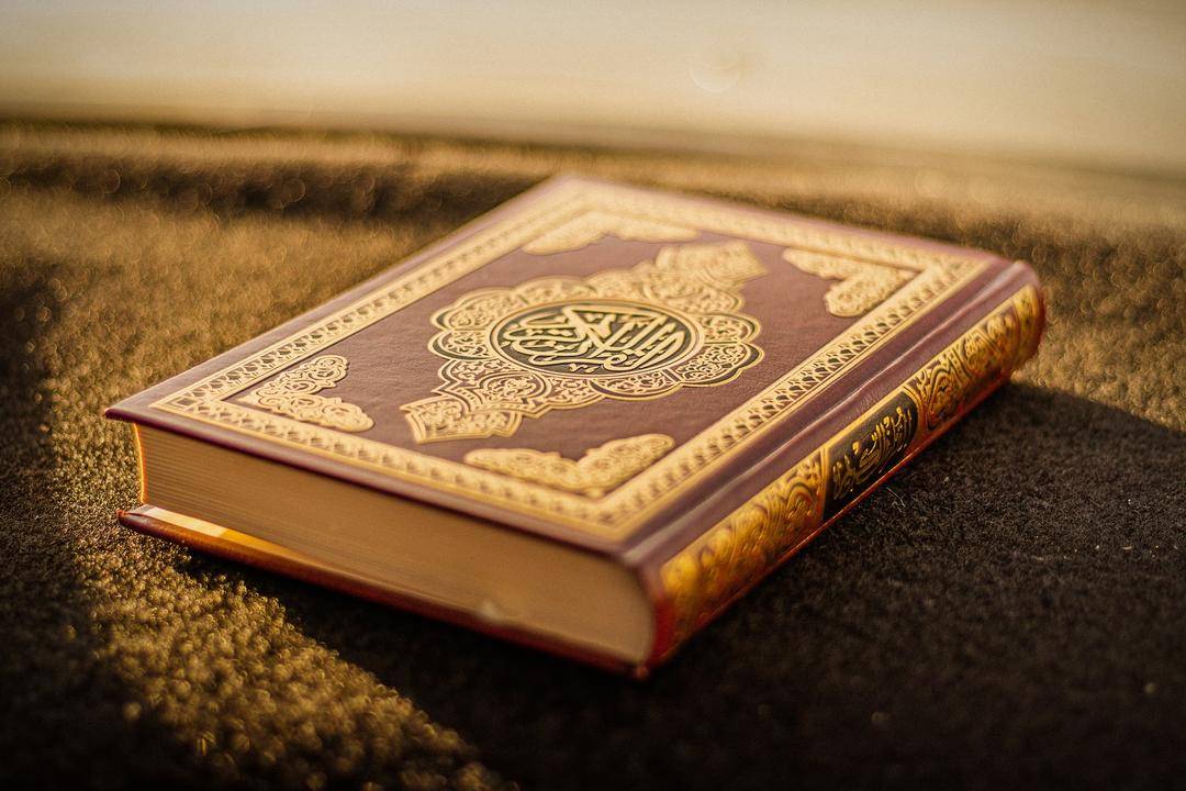 Unsplash.com/Malik Shibly