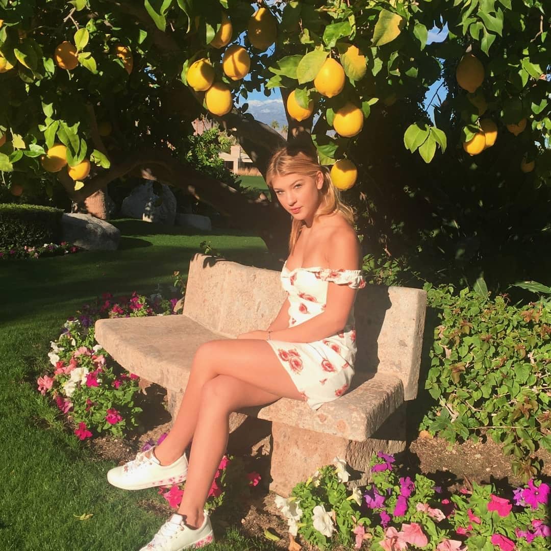 instagram.com/pheebeegates