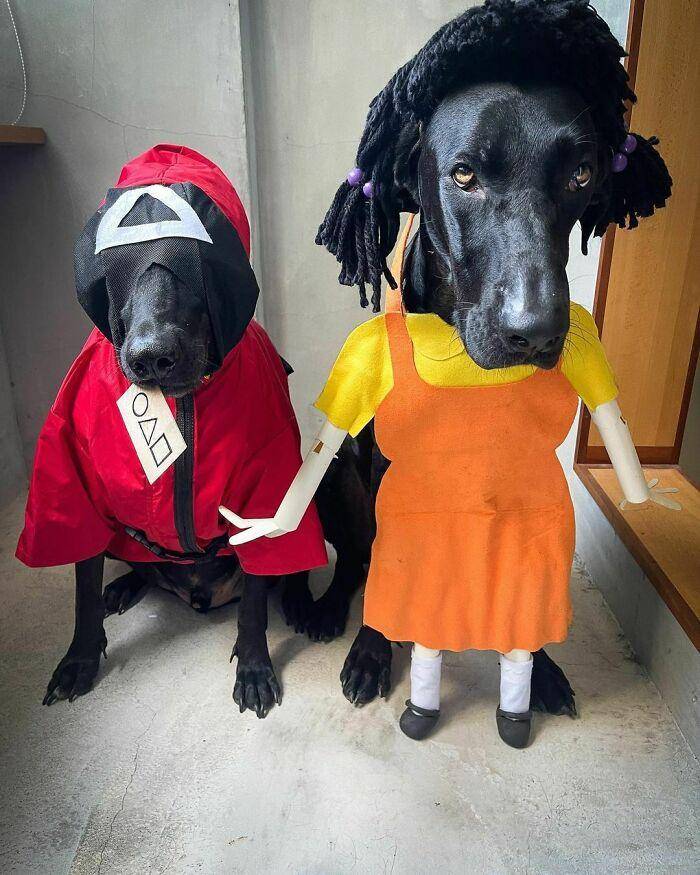instagram.com/busterandbeans