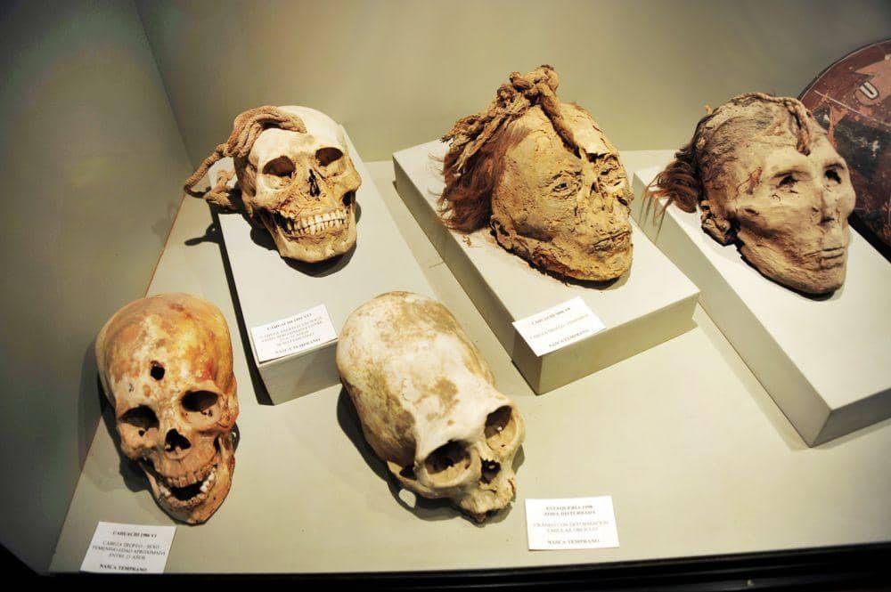 Latinamericanstudies.org