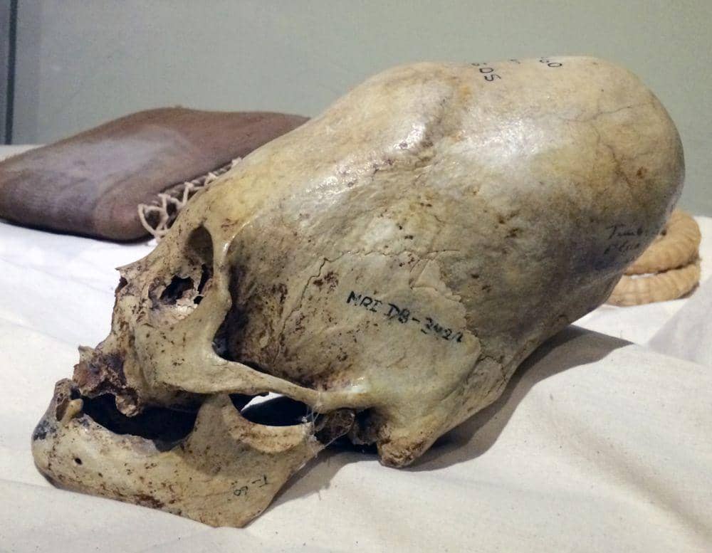 Latinamericanstudies.org