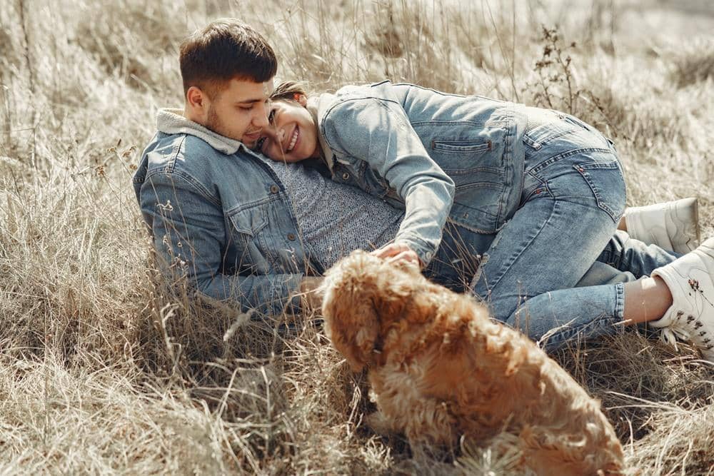 pexels.com/Gustavo Fring