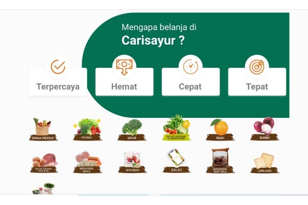carisayur.com