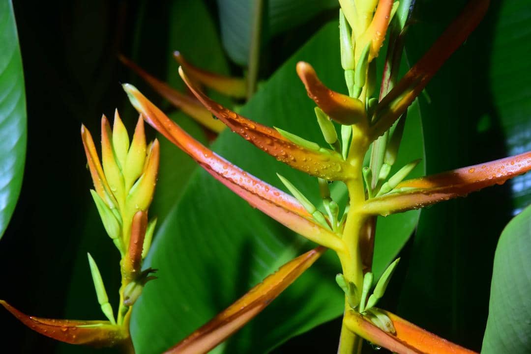 Unsplash.com/Roberto Huczek