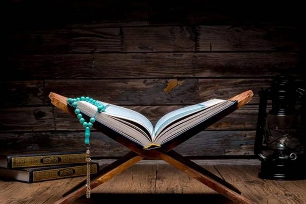 Shutterstock/Kingmaya Studio