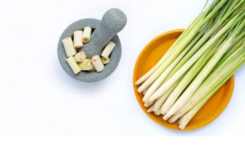 freepik.com_bowonpat