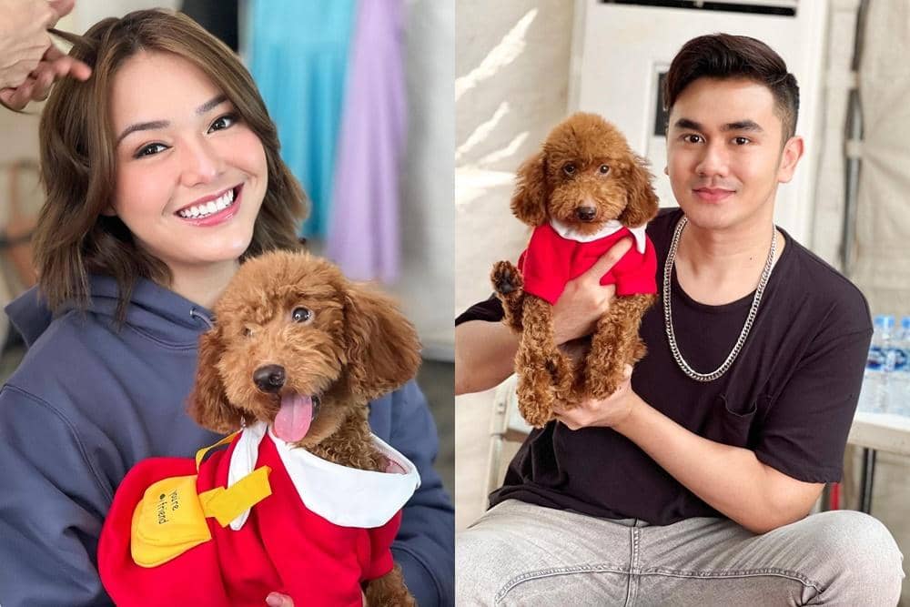 Instagram.com/dikintam