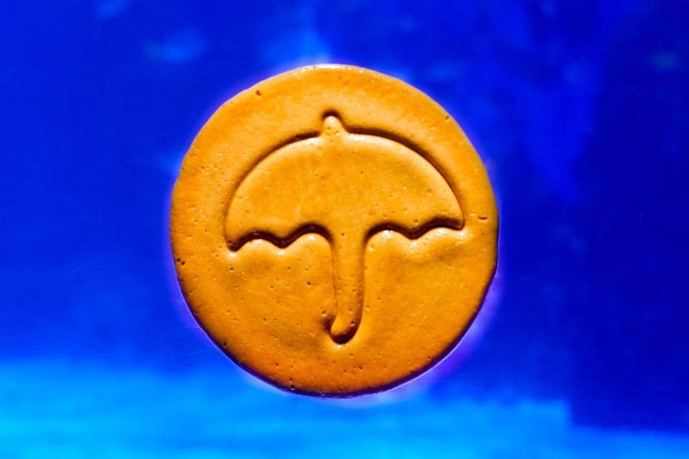 Dok. Jakarta Aquarium