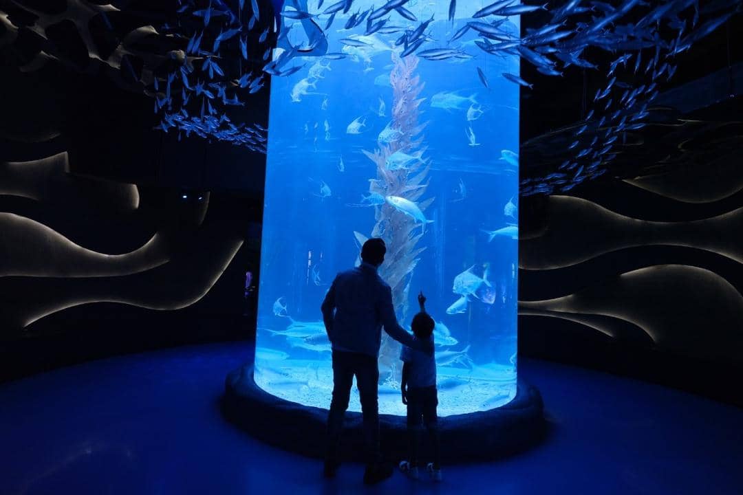 Dok. Jakarta Aquarium