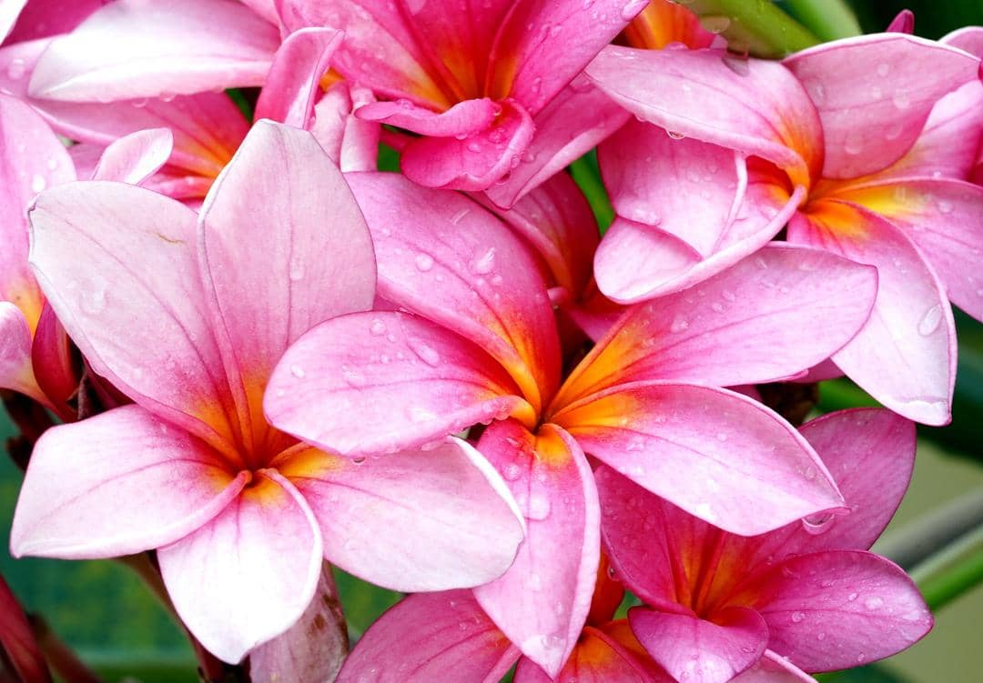 Unsplash.com/Hartono Subagio