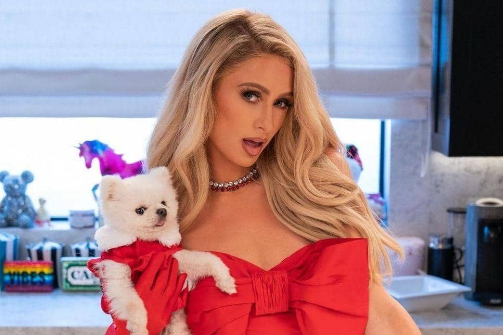 instagram.com/parishilton