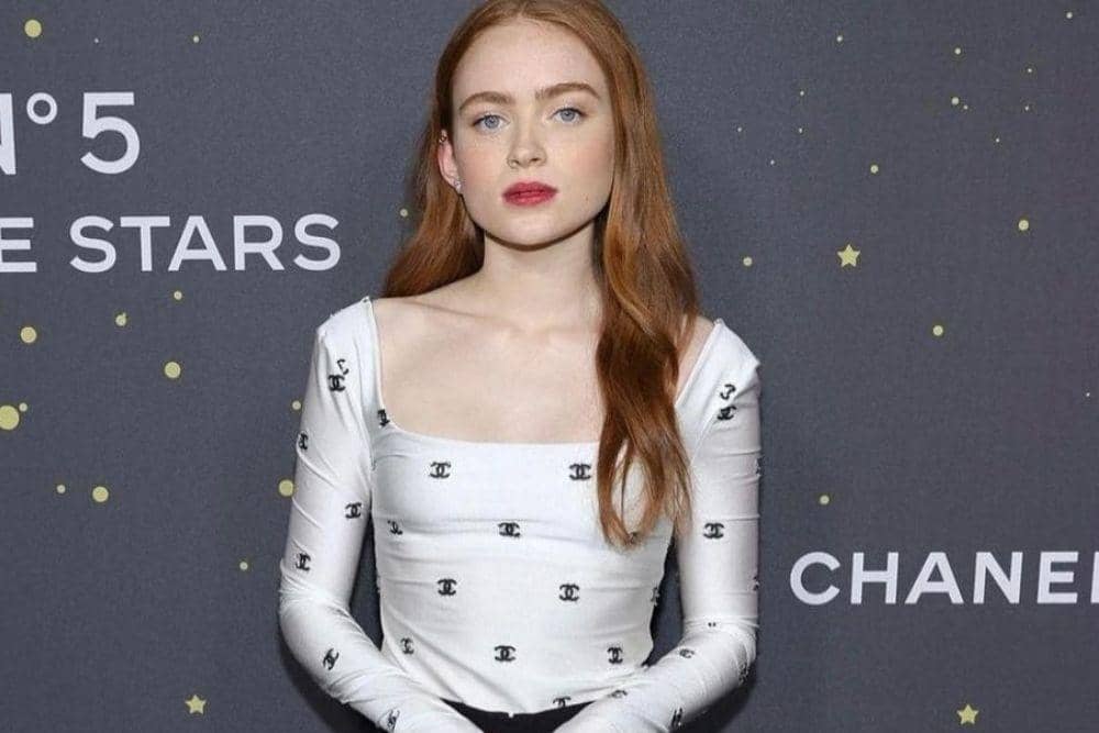 instagram.com/sadiesink_