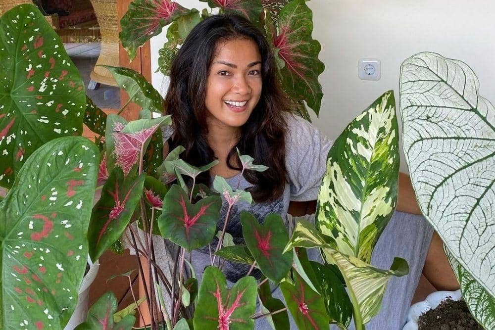 instagram.com/nirinazubir_