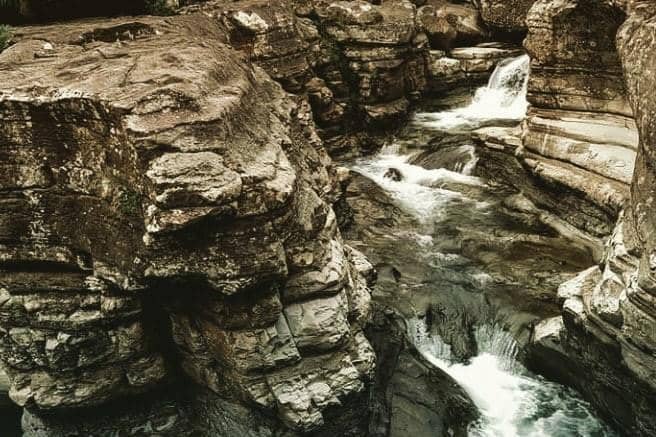 instagram.com/ lako_flores