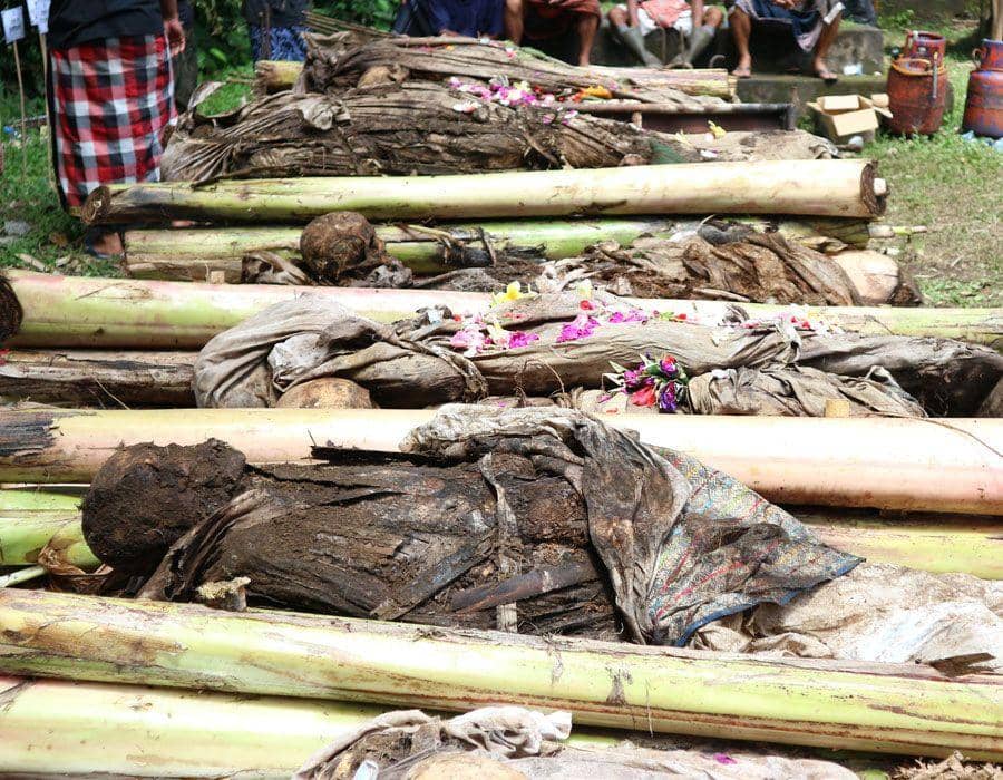 IDNTimes.com/Ari Budiadnyana