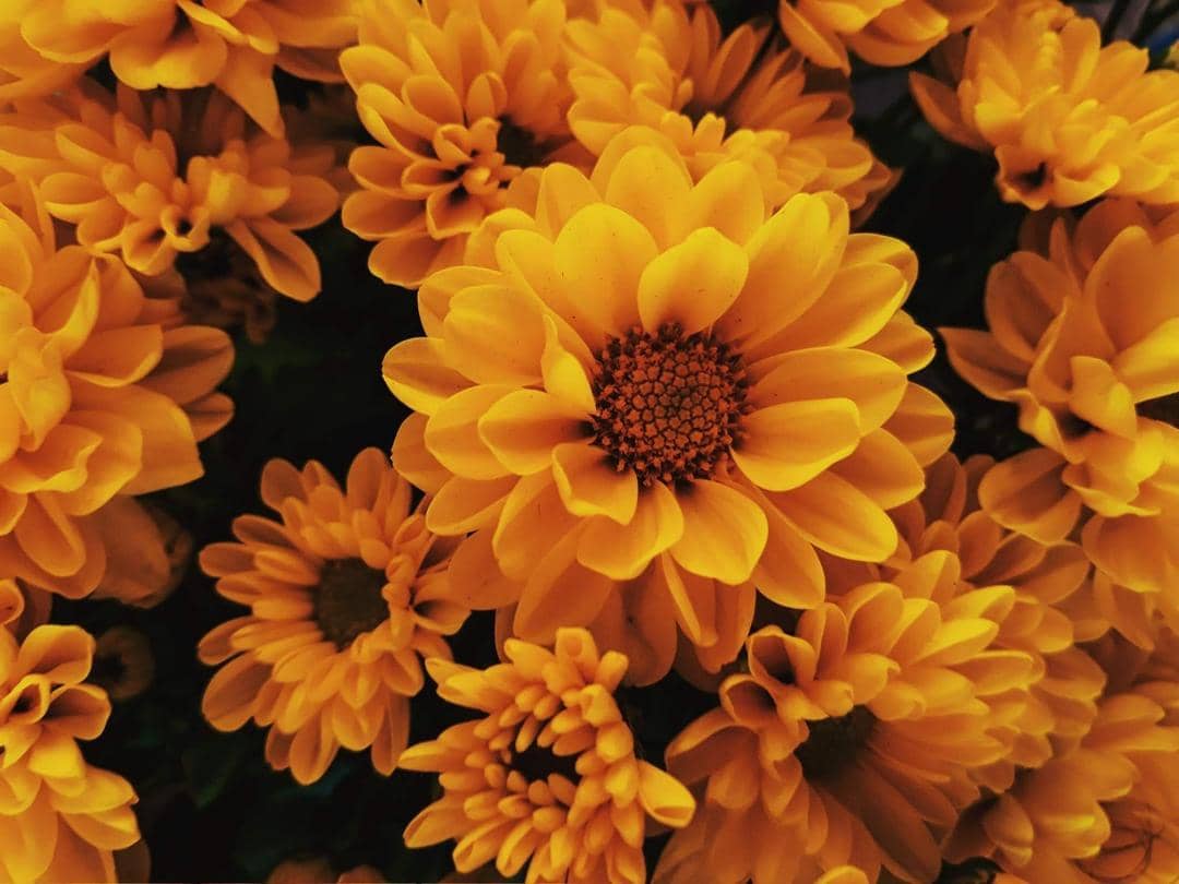 Pexels.com/Raphael Brasileiro