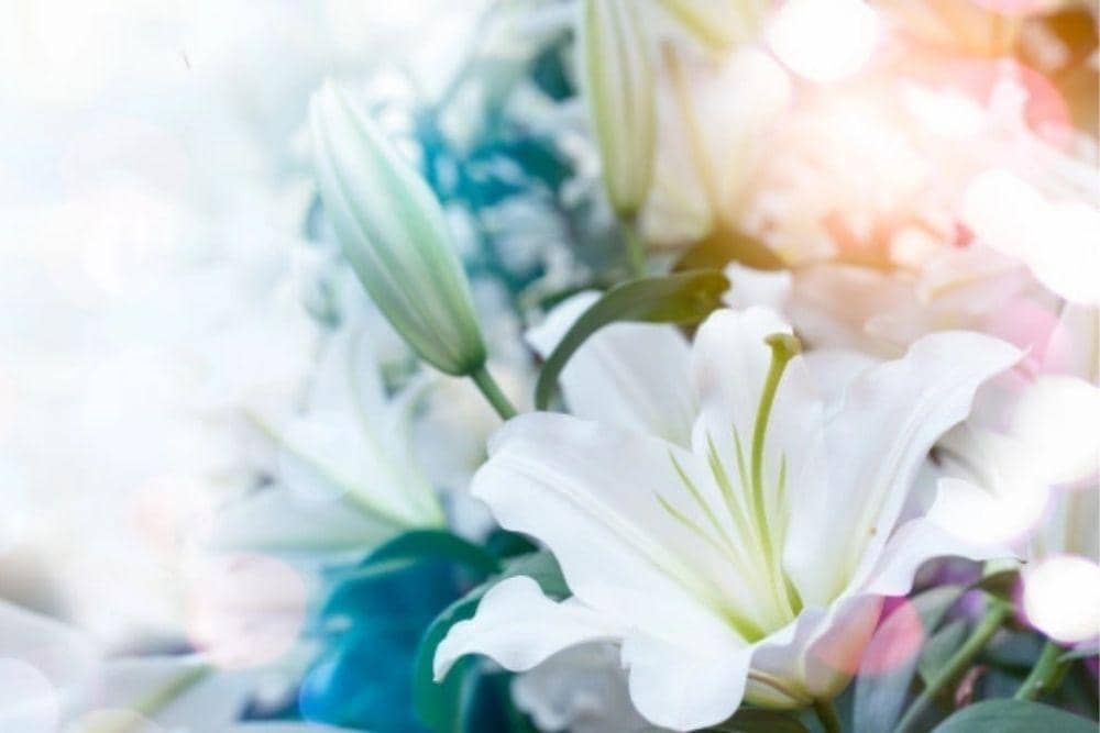 freepik.com/yingyaipumi