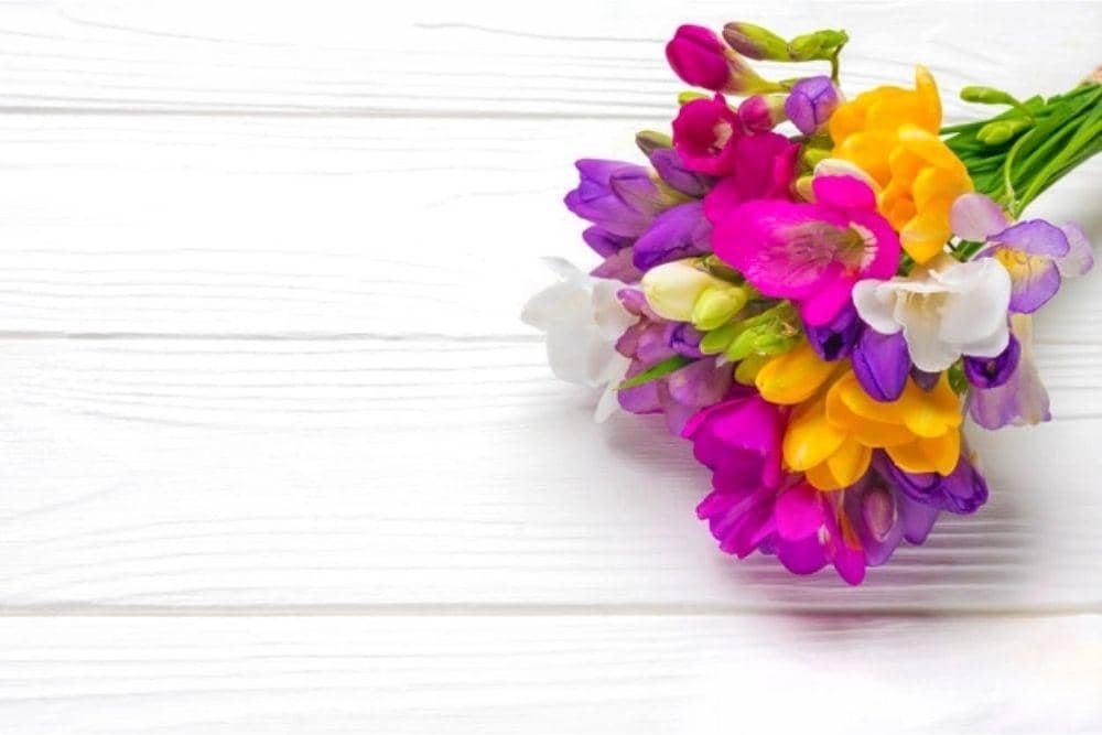 freepik.com/marya-83