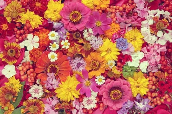 id.depositphotos.com