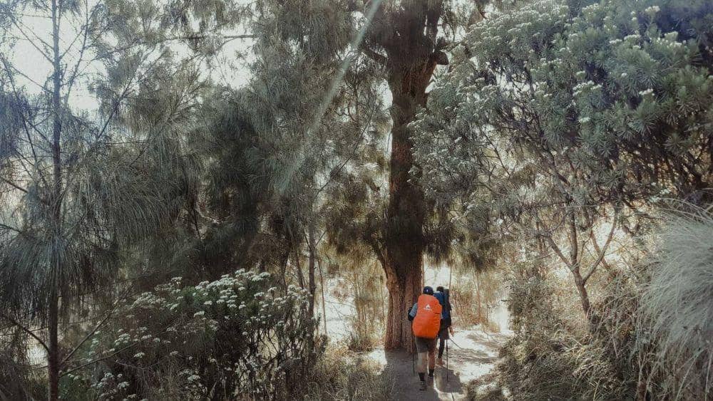 Unsplash.com/Falaq Lazuardi