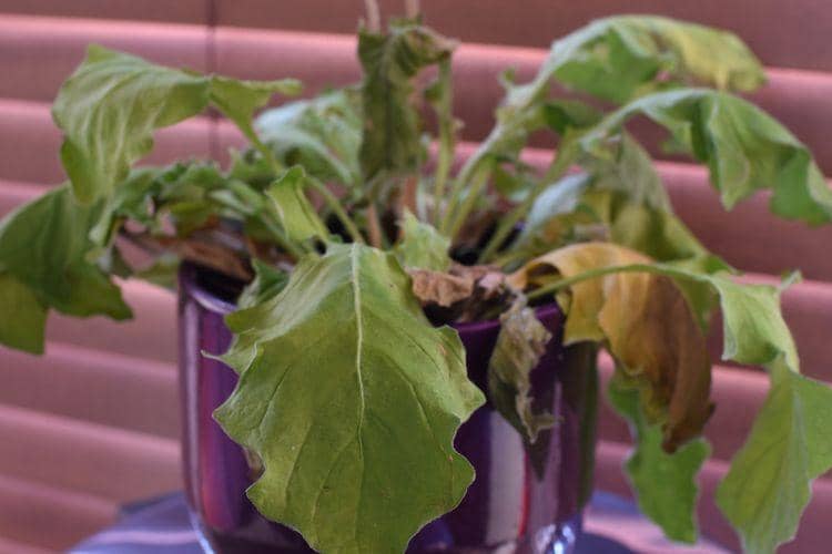 SHUTTERSTOCK/LONDON TIME