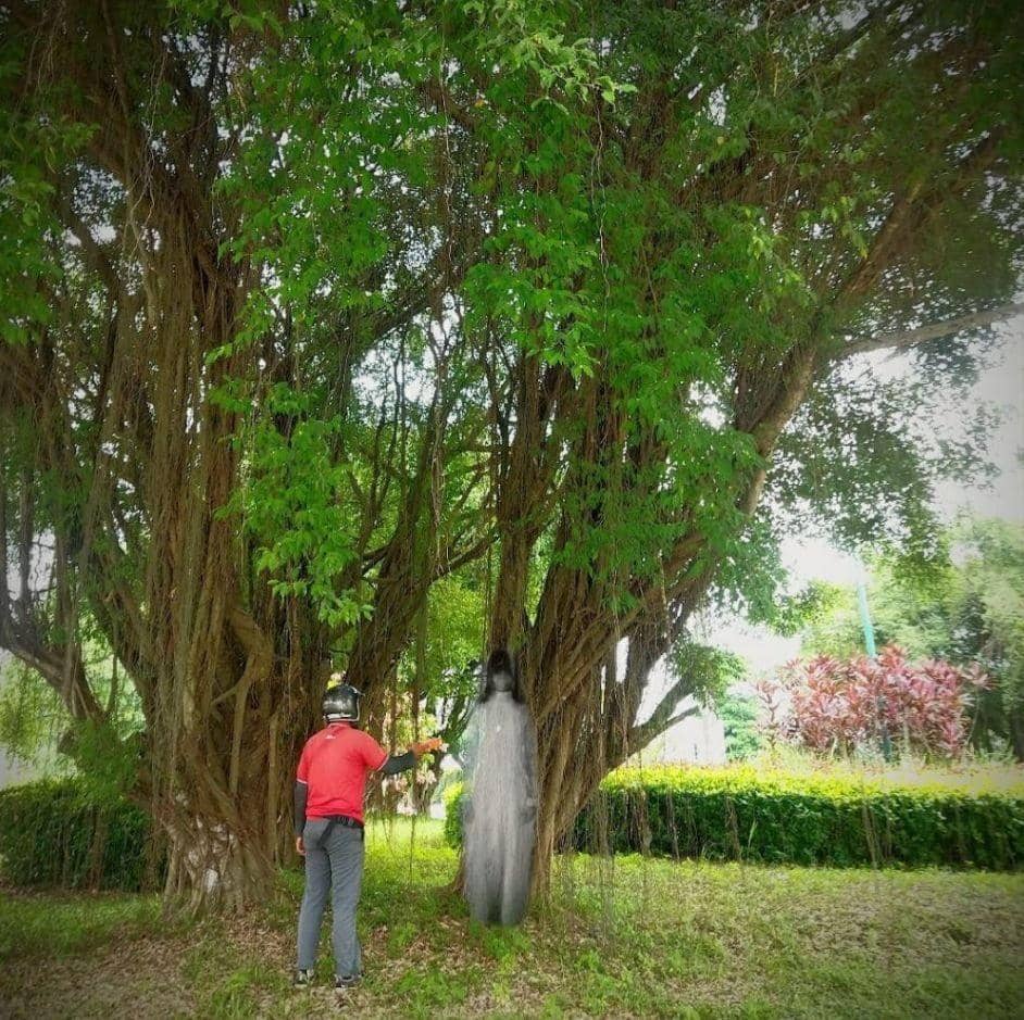 Twitter.com/txtdrikurir