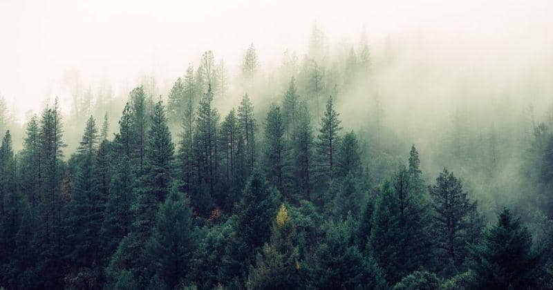 Unsplash.com/Jaymantri