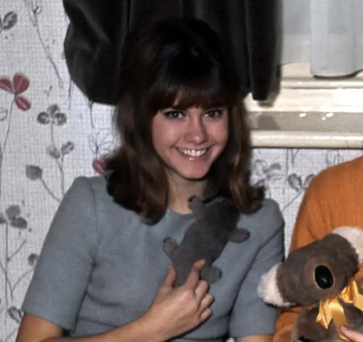 Michael Ochs Archives / Getty Images