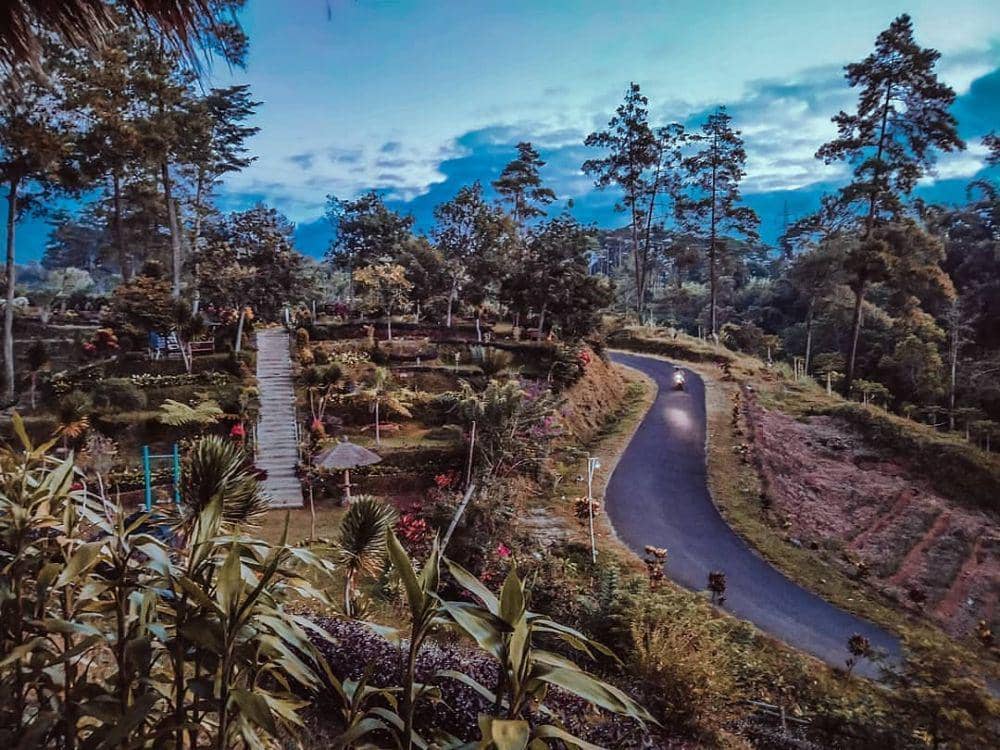 Wisata Tlogo Land (instagram.com/tlogoland.id)