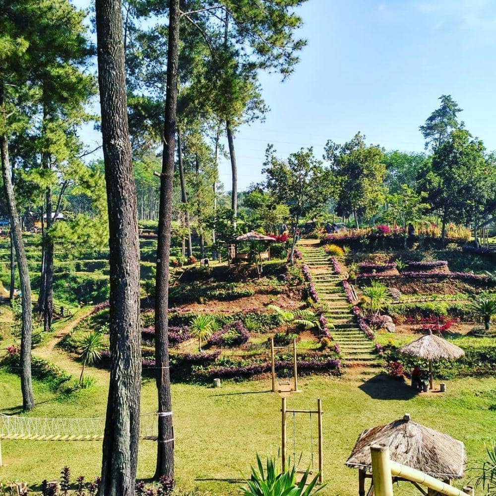 Fasilitas di Tlogo Land (instagram.com/tlogoland.id)