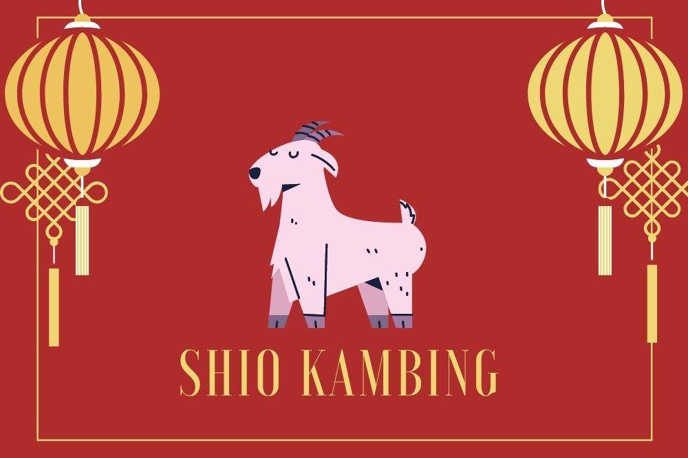 Ramalan Shio Kambing Tahun 2022, Kesempatan Bertemu Orang Baru