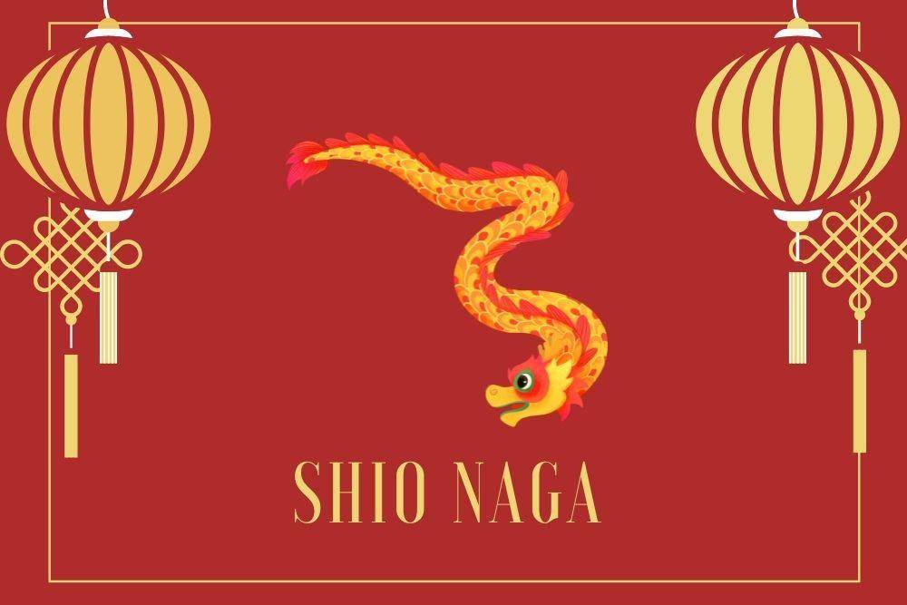 Ramalan Shio Naga Tahun 2022, Saatnya Melepas Emosi Toxic