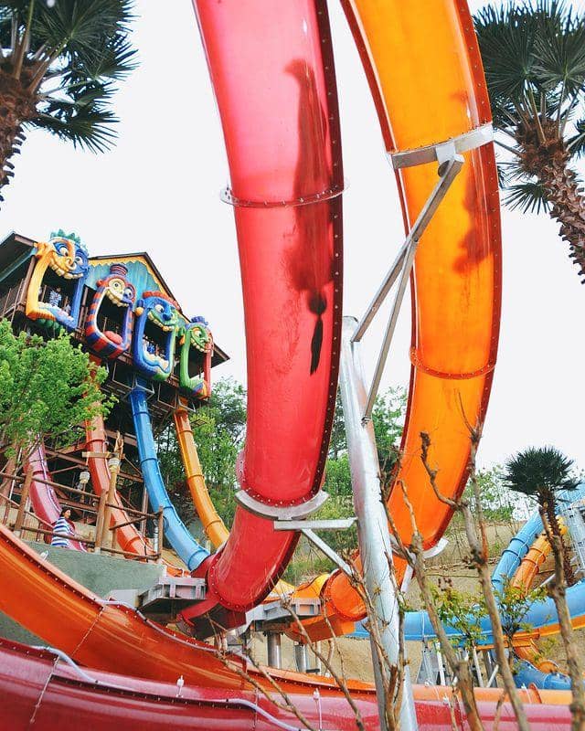 instagram.com/@witheverland