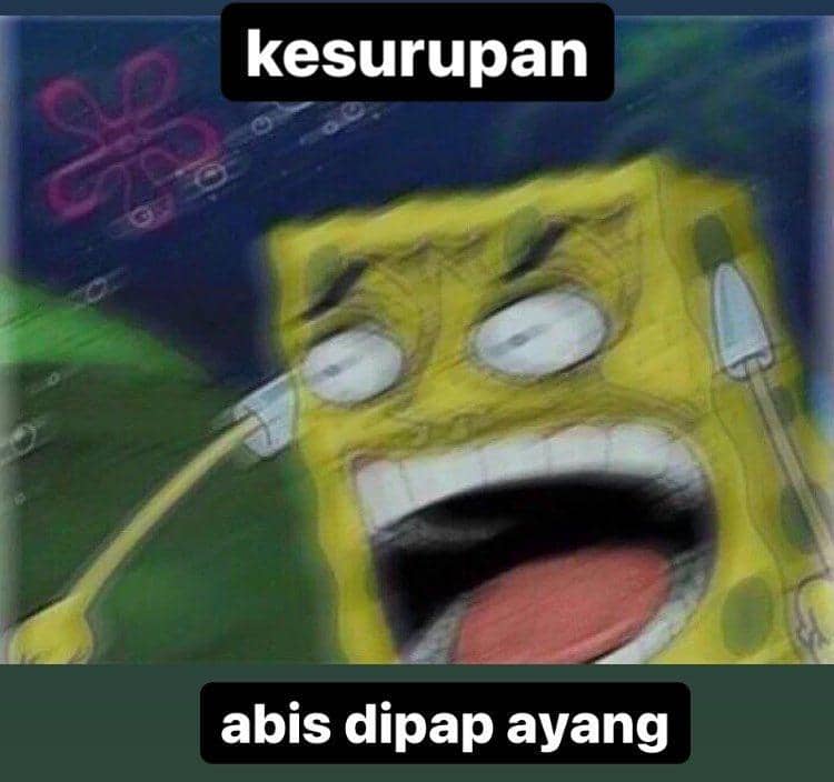 twitter.com/@CHIFUYUSONO