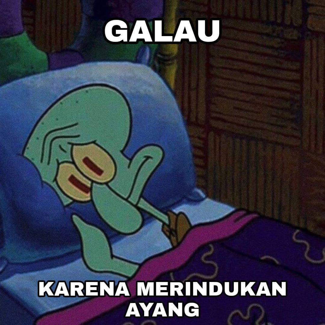 twitter.com/@ucynosure