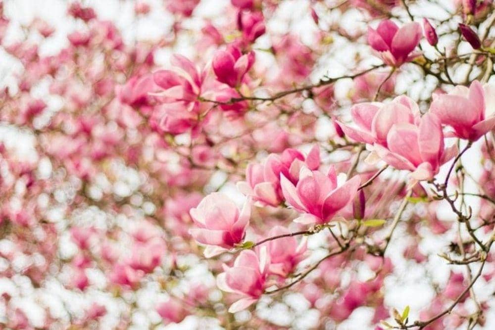 Unsplash/Danielle Comer