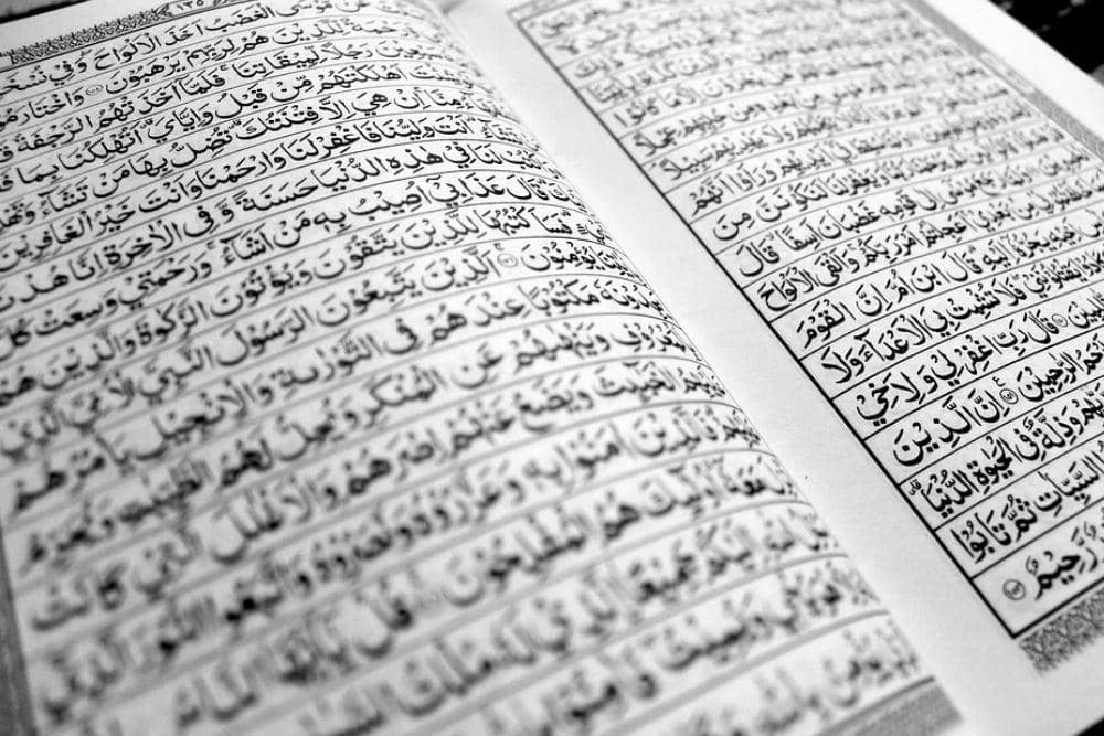 pixabay.com/id/photos