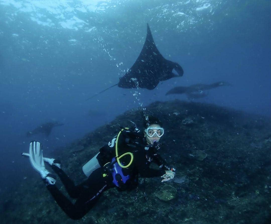 instagram.com/lunamaya