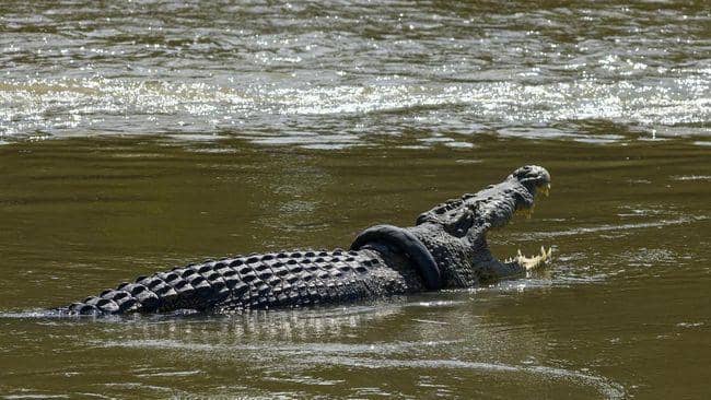 ANTARA FOTO/Basri Marzuki