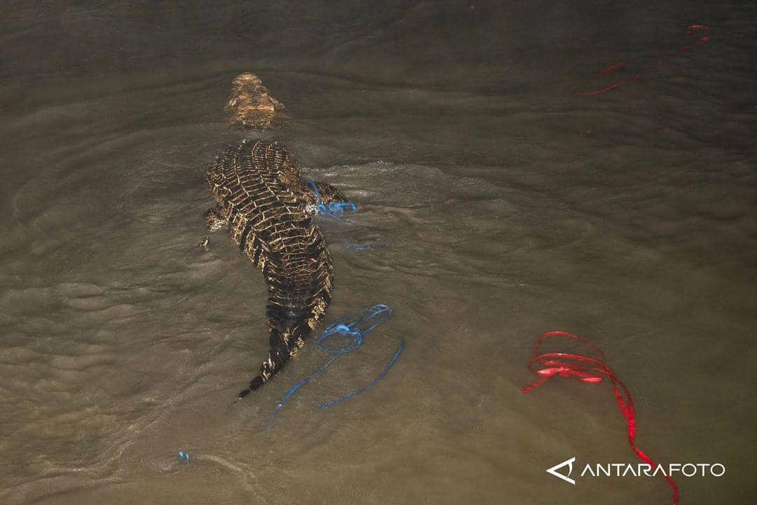 Instagram.com/antarafotocom - Basri Marzuki, Mohamad Hamzah