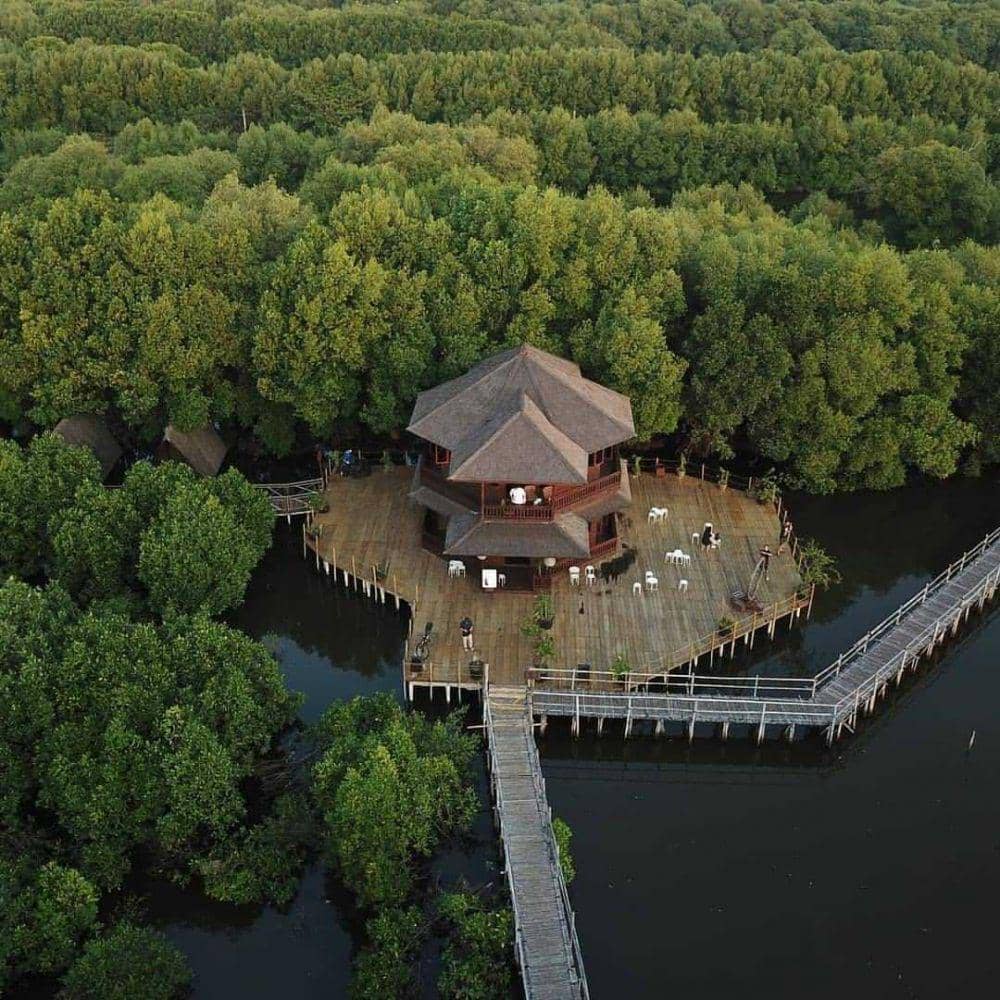 Wisata Mangrove Angke Kapuk 