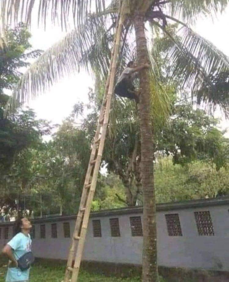 Rwitter.com/txtdarigajelas