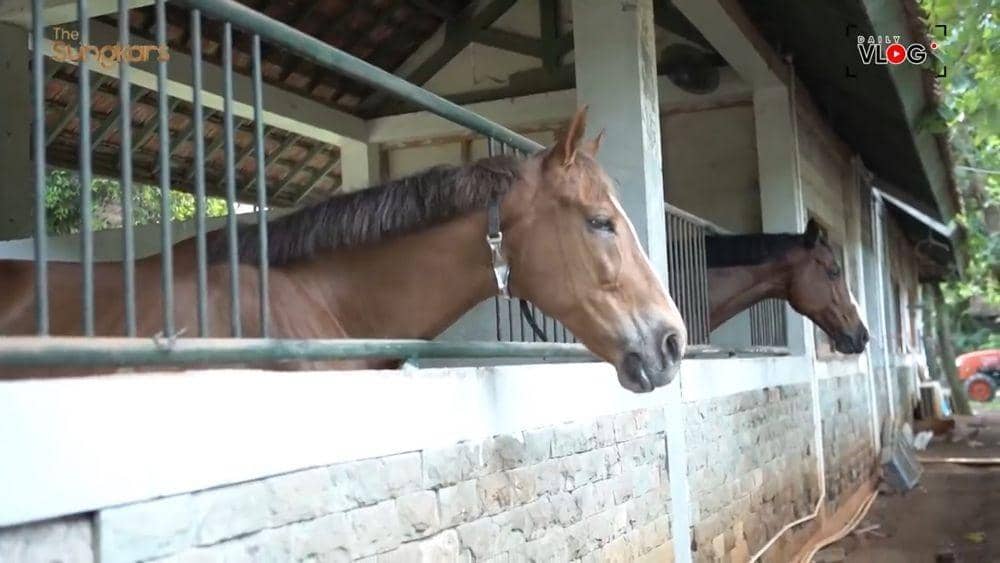 YouTube.com/The Sungkars