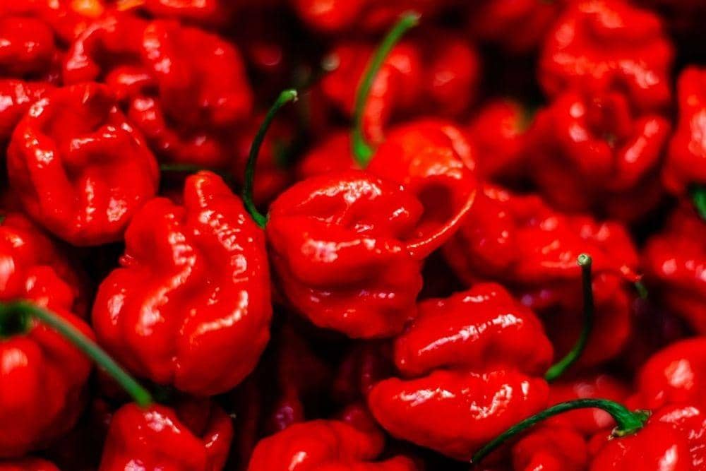 onestopchillishop.co.uk