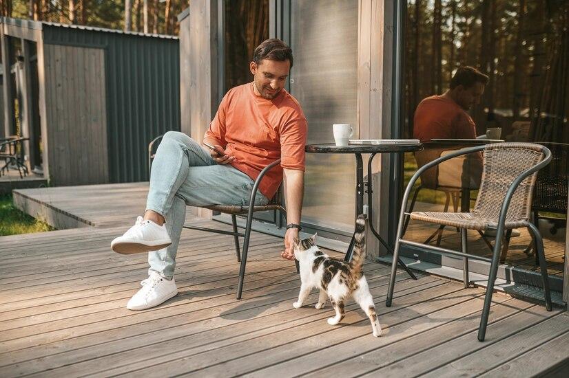 Hati-Hati! 7 Makanan Ini Justru Berbahaya Bagi Kucing