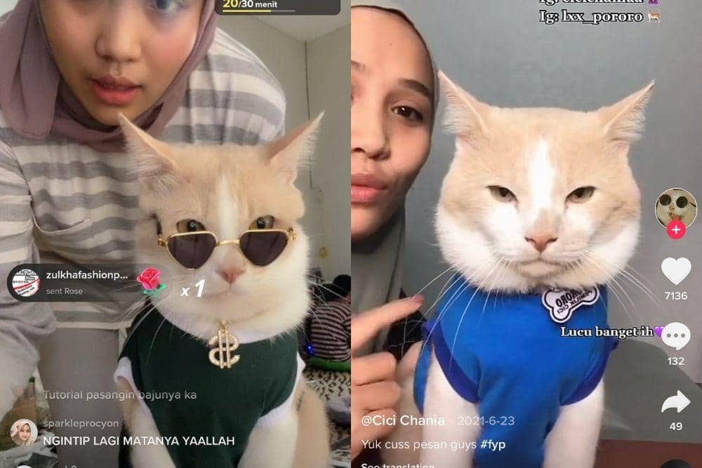 tiktok.com/cicichania96