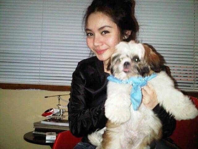 instagram.com/mysamawar