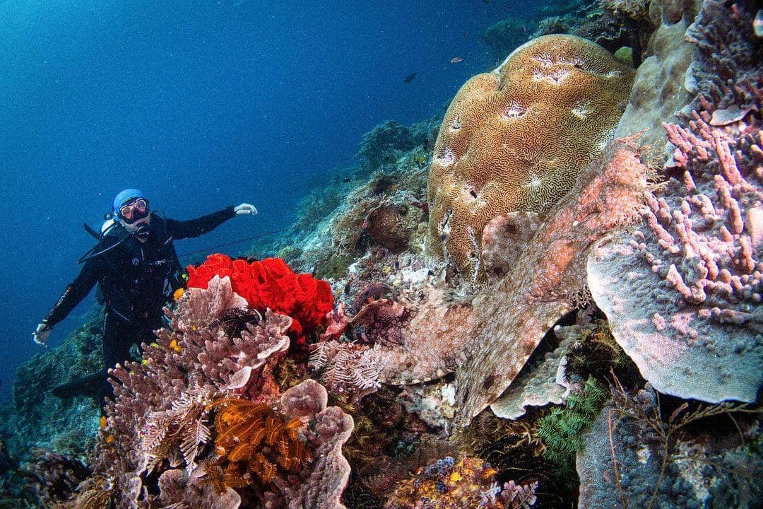 instagram.com/nikitawillyofficial94