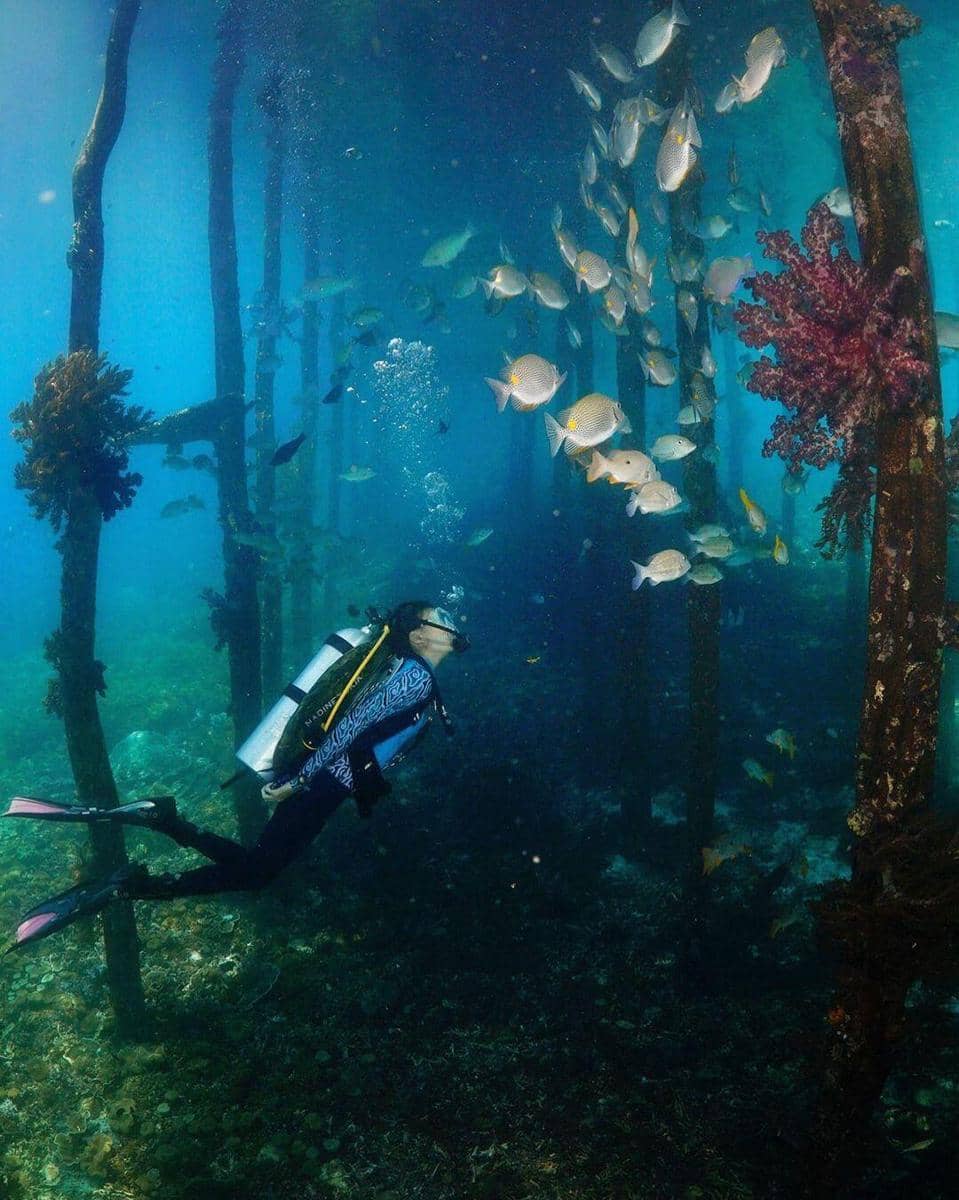 instagram.com/nadinelist